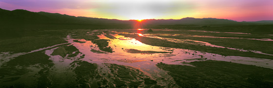 Panorama Landscape Photography Golden Salt Creek, Death Valley